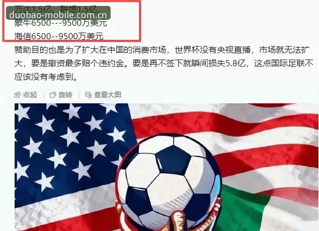 世界杯观赛签证困境解析：美国使馆停摆引发的连锁反应